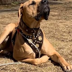 Meet your Posher, Kevin